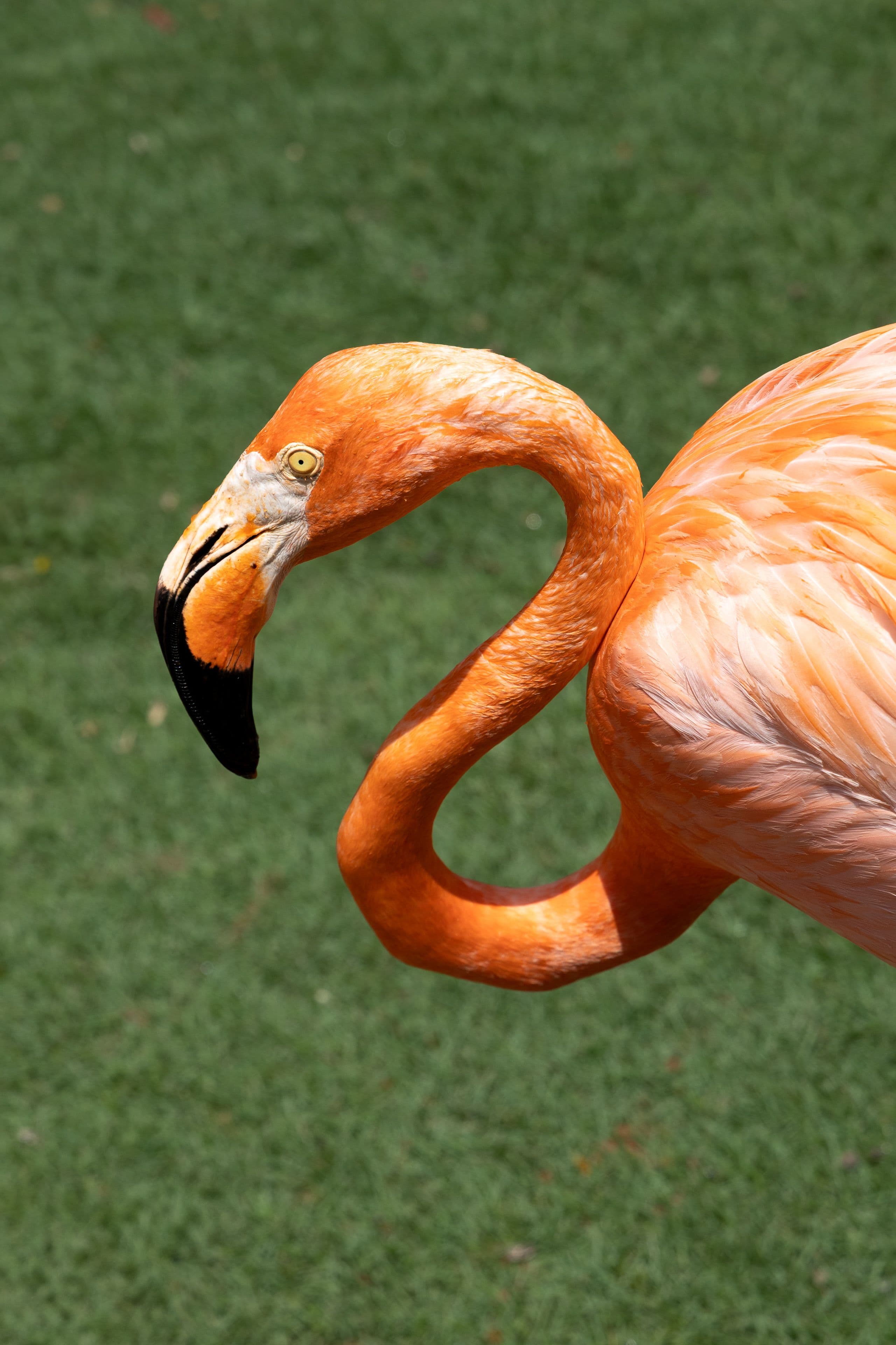Cartagena